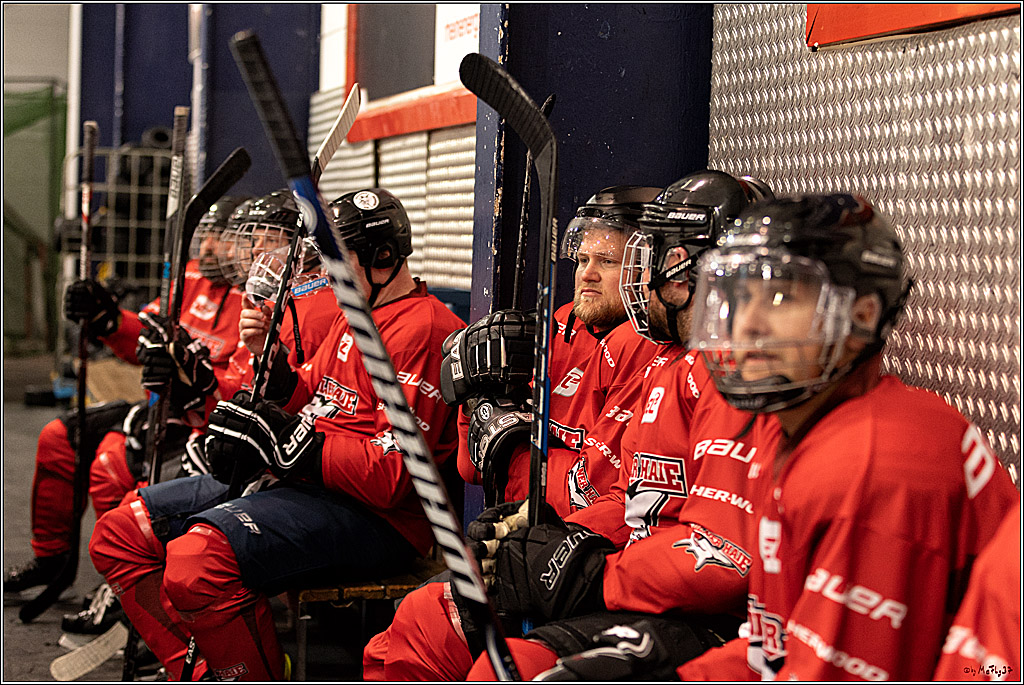 Sponsorentraining Kölner Haie 8.6.2022, 08.06.2022